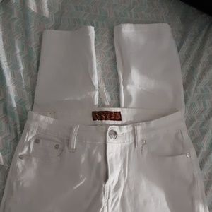 Women Pants
